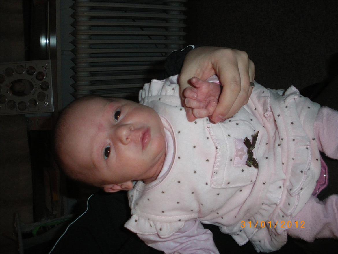 Pige Sascha Hanne Angaard billede 9