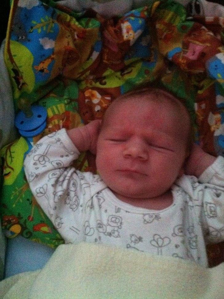 Dreng Lucas  billede 5