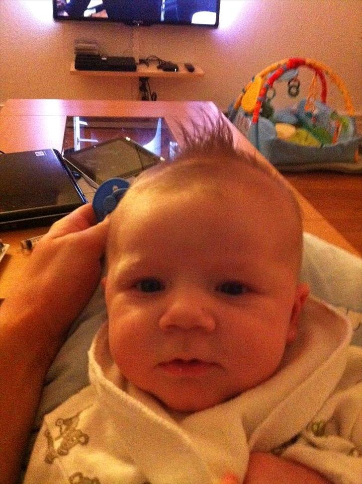 Dreng Lucas  billede 7