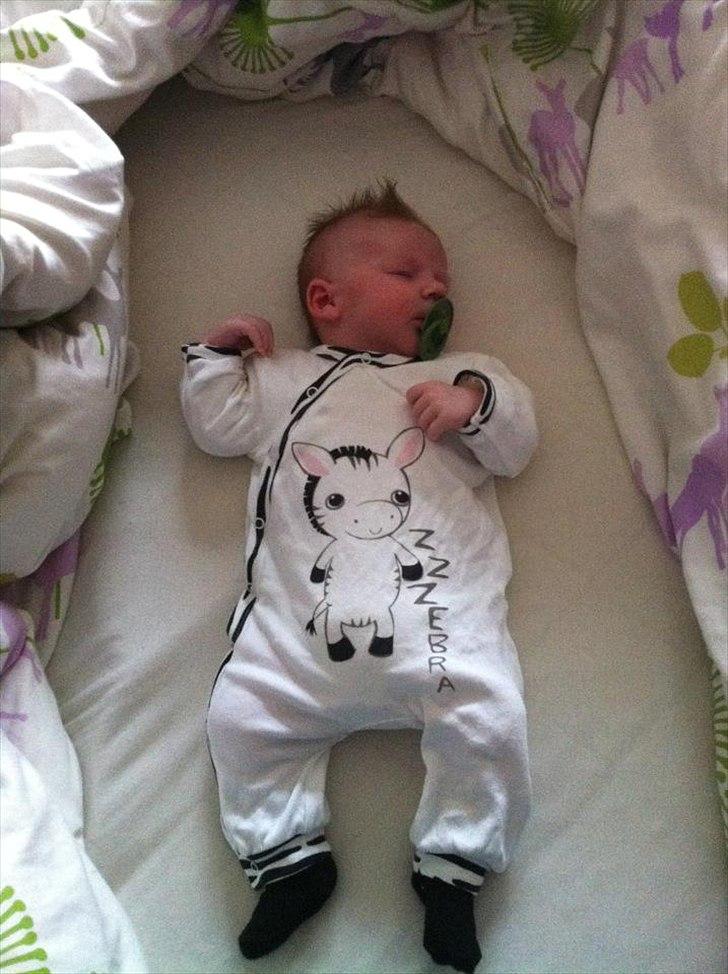 Dreng Lucas  billede 8