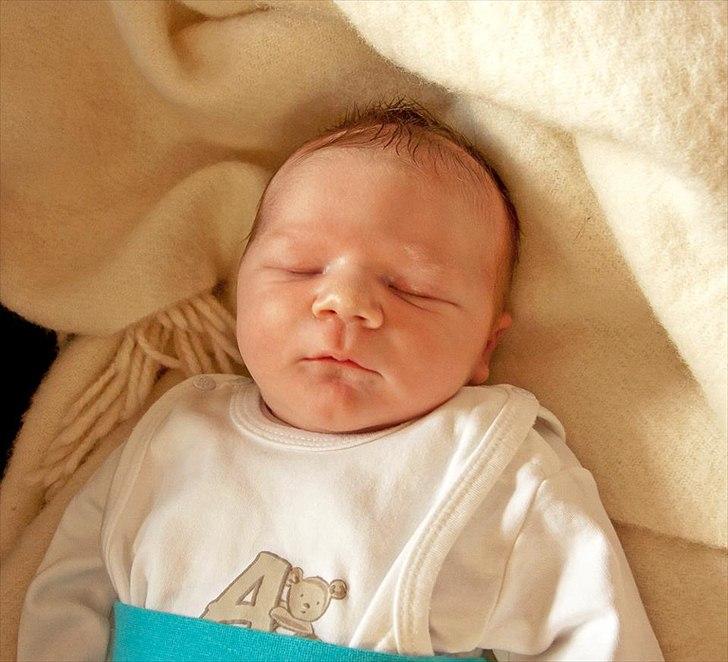 Dreng Lucas  billede 10