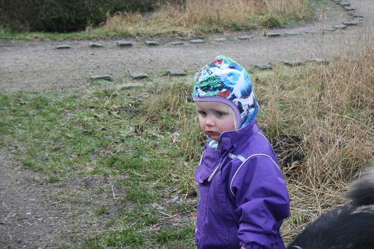 Pige Isabella Dagny - en tur i skoven.. billede 20