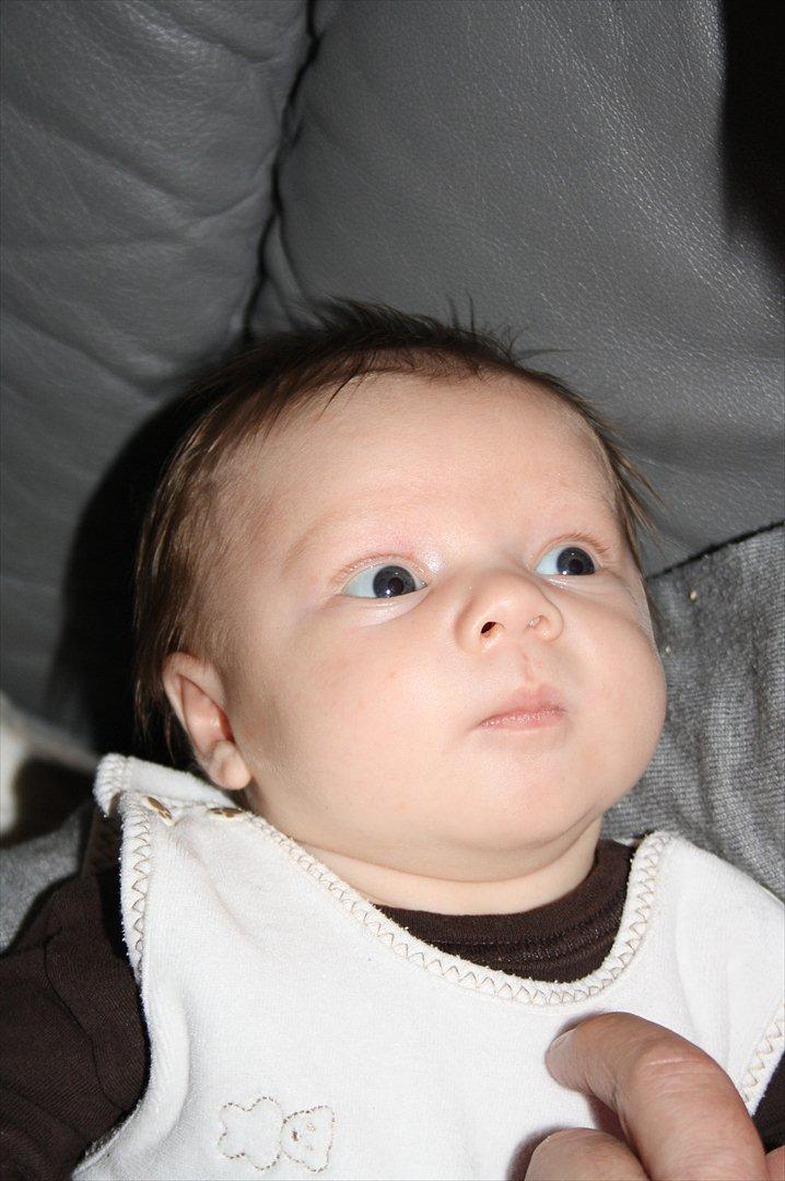 Dreng Lukan - Mig igen :) billede 2