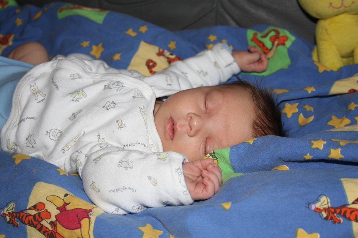 Dreng Lukan - ZzzZzzzzZ billede 5