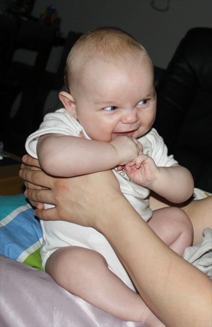 Dreng Tobias - Tobias den 18 marts 2012
---------------------------------
Han er her næsten 4 måneder billede 9