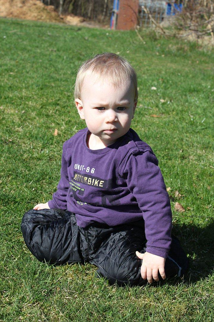 Dreng Silas - 16 mrd billede 12