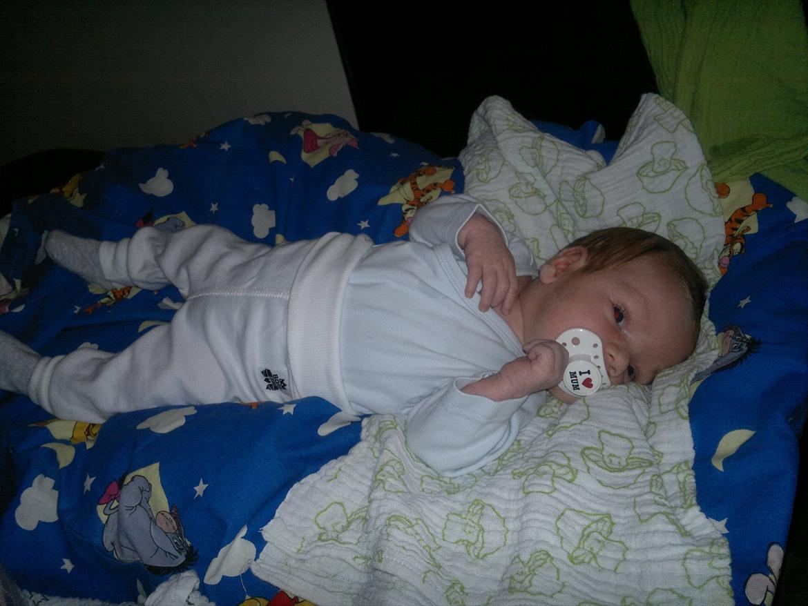 Dreng Lucas Harthin Millek Rasmussen billede 17