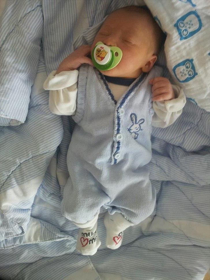 Dreng Liam - Klar til at komme hjem, 2 dage gammel :) billede 5
