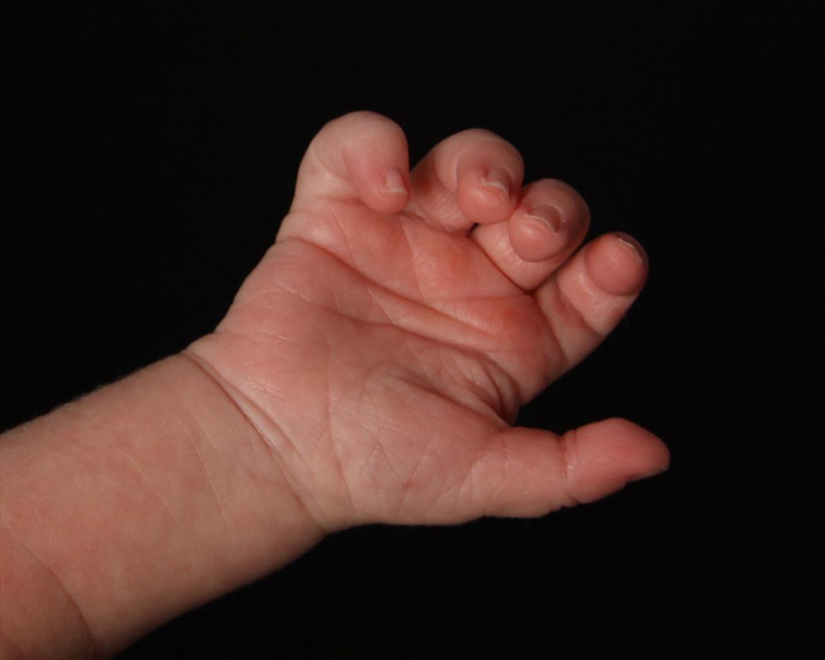 Dreng Liam - Liams hånd 11 dage gammel billede 15