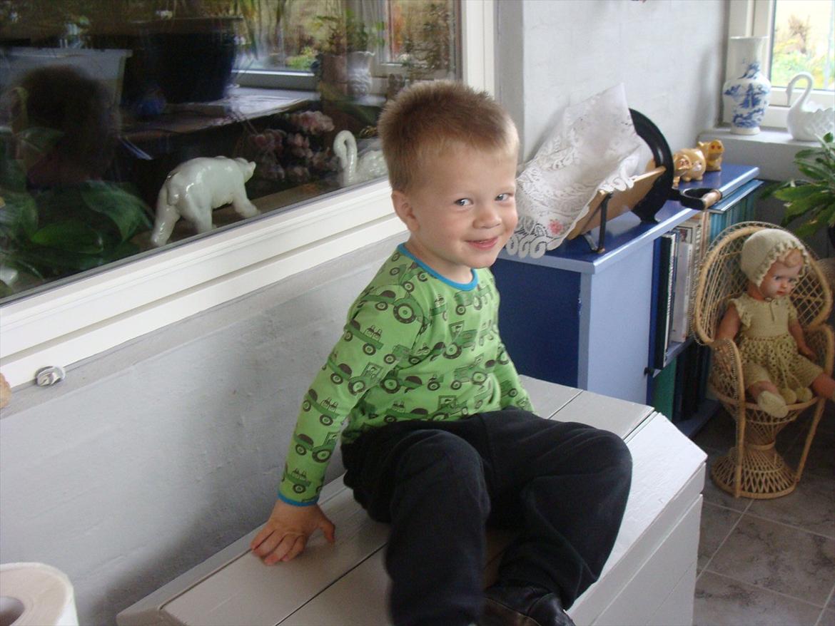 Dreng Nicklas billede 16