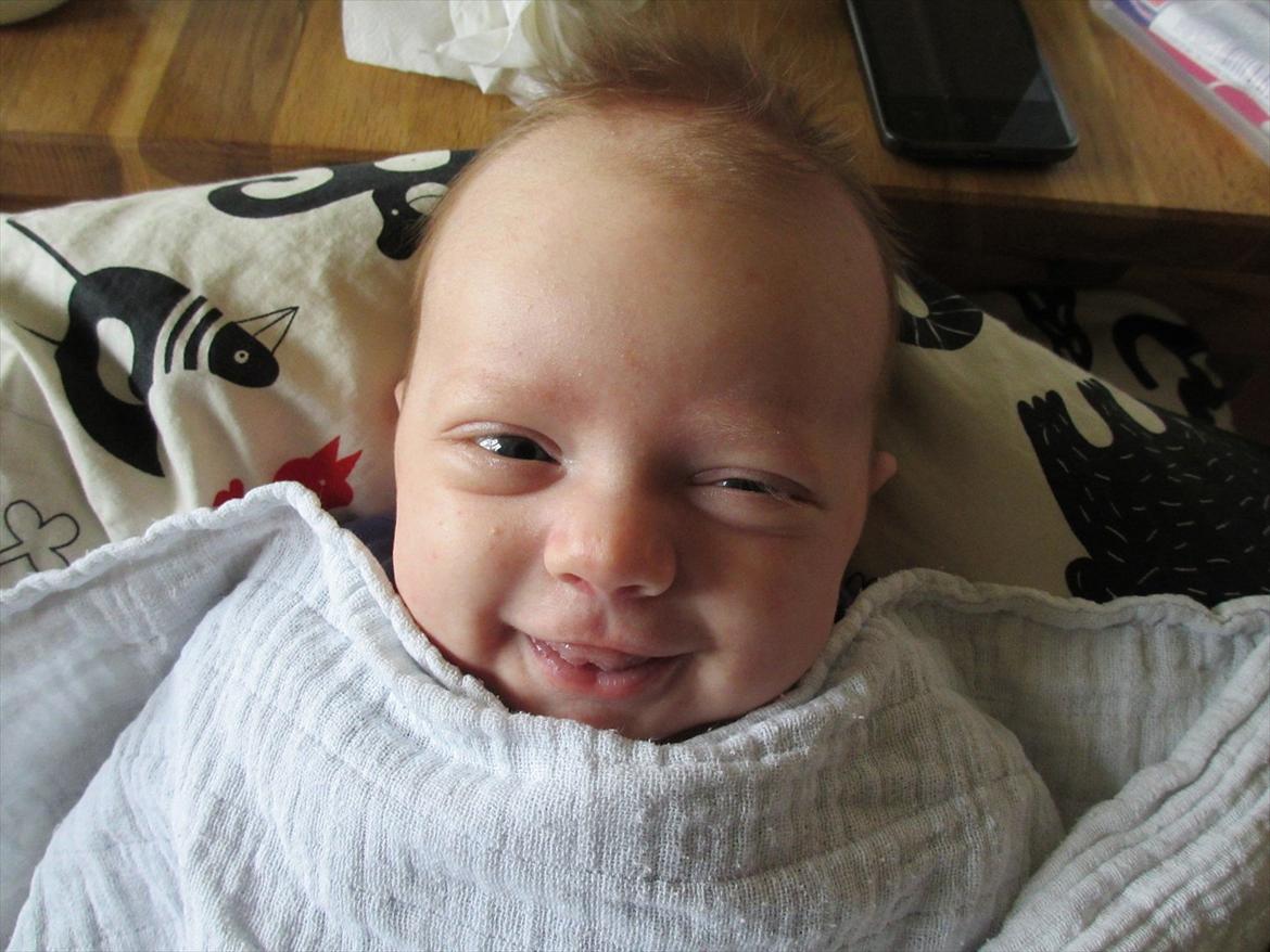 Pige Anne Karoline - Hi hi, lille bandit <3 billede 5