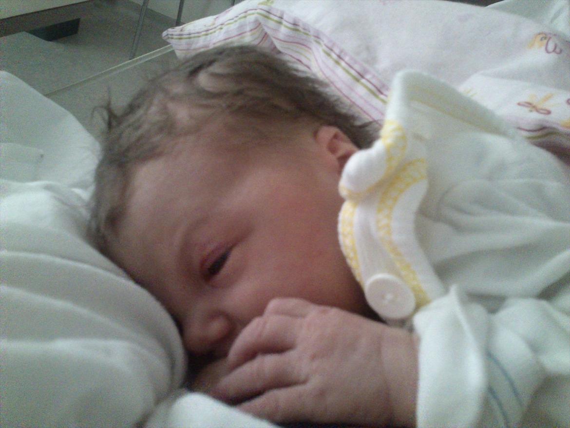 Pige charmepigen Freya - 1½ dag gammel... billede 4