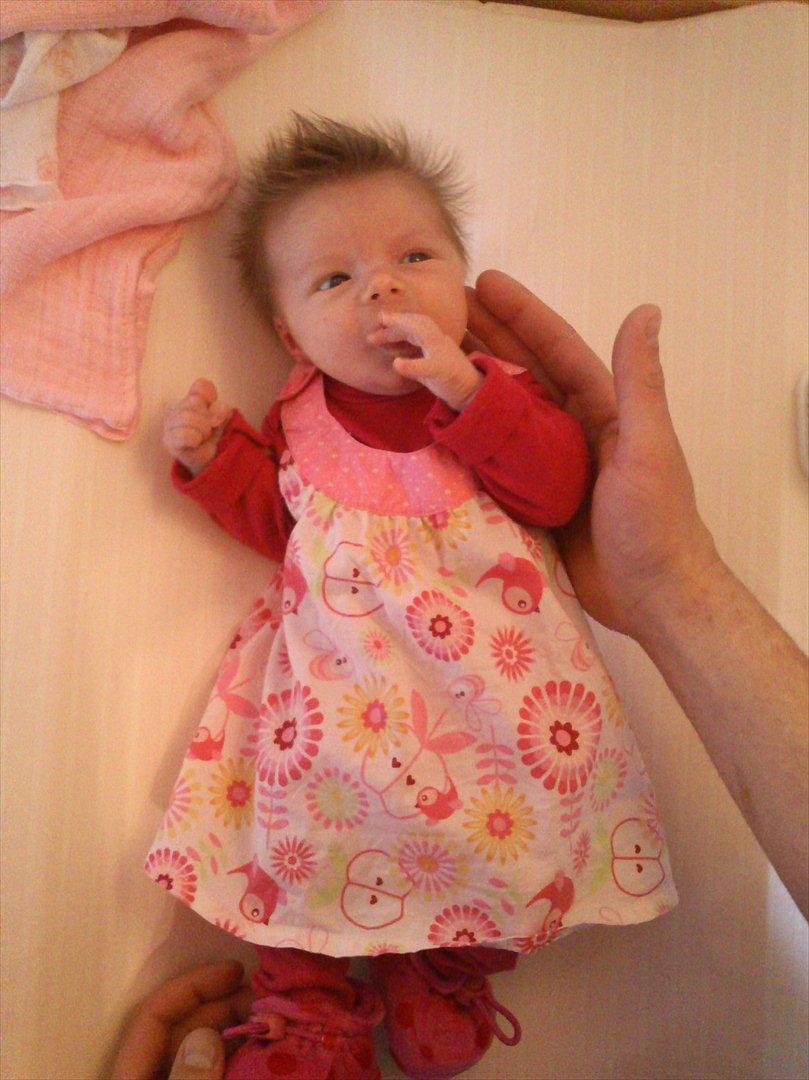 Pige charmepigen Freya - Storebror på 3½ år mente hun skulle have kjole på og fandt dette sæt... billede 13