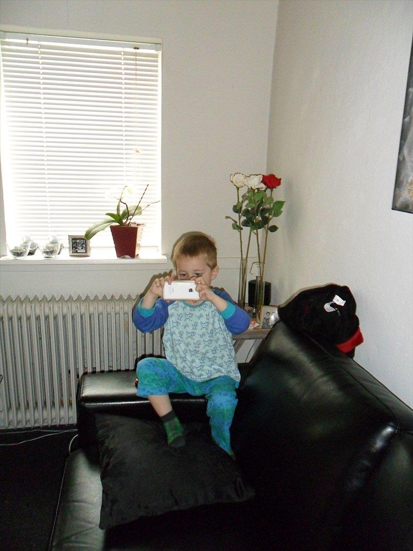 Dreng Noah billede 18