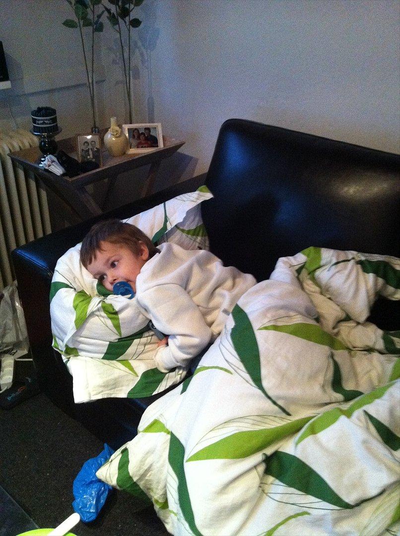 Dreng Noah billede 20