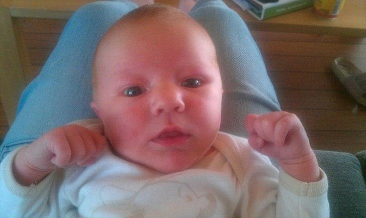 Dreng Leander Poul billede 5