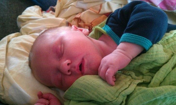 Dreng Leander Poul billede 7