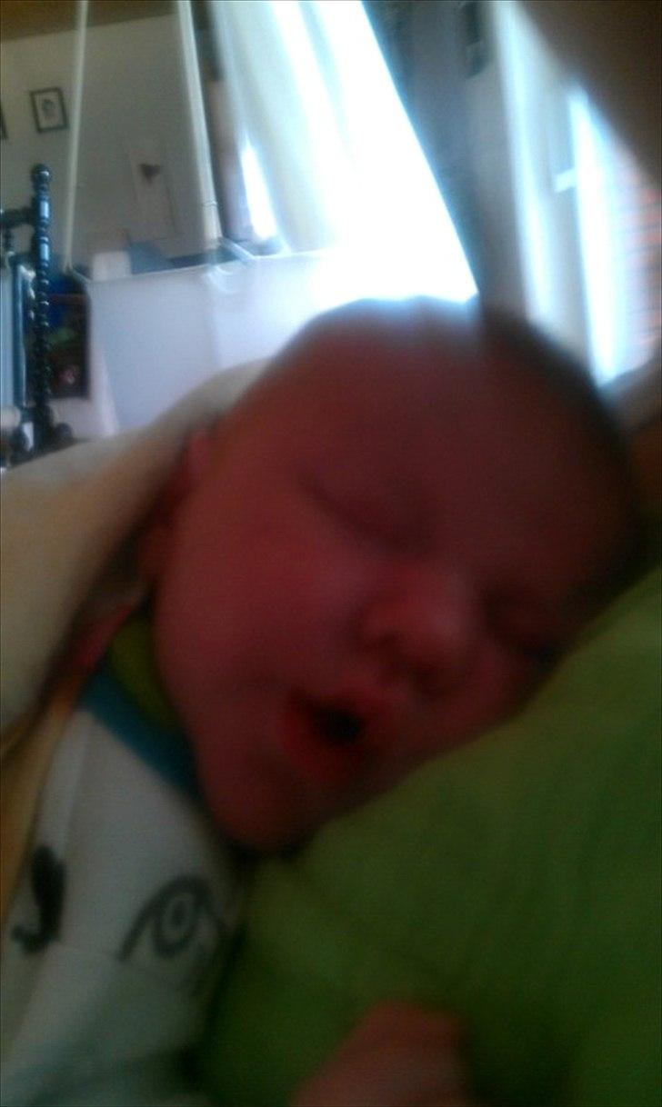 Dreng Leander Poul billede 8