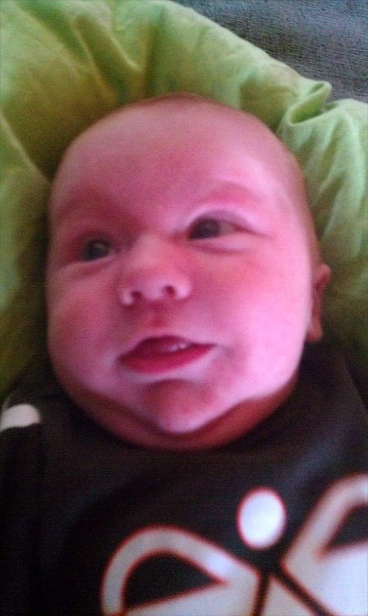 Dreng Leander Poul billede 13