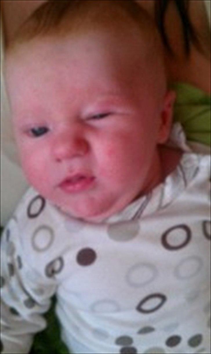 Dreng Leander Poul billede 15