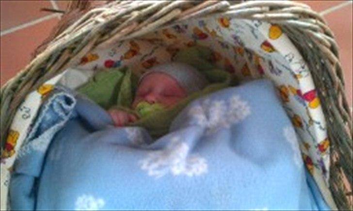 Dreng Leander Poul billede 19