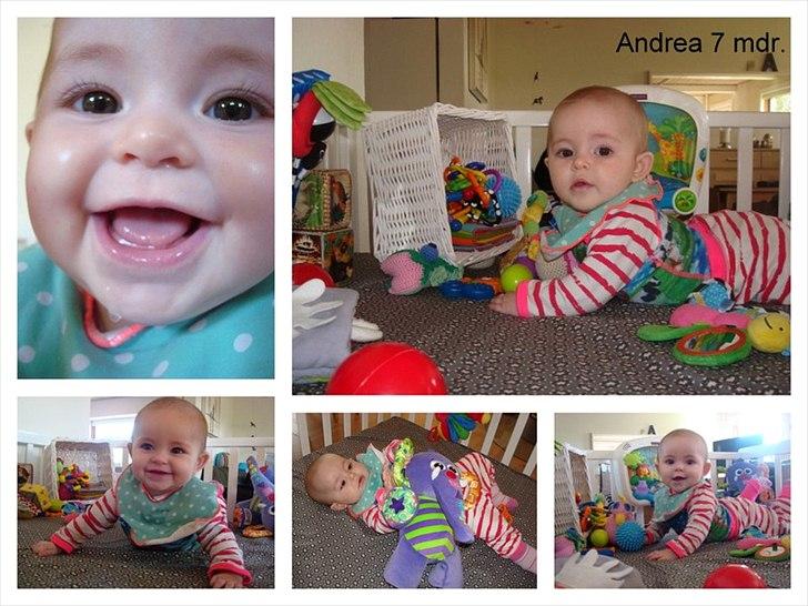 Pige Andrea billede 14