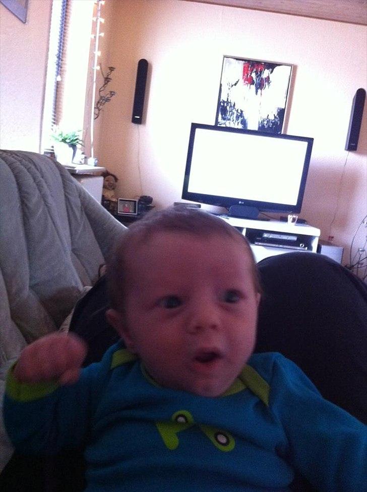 Dreng Liam Tonny Hansen billede 3