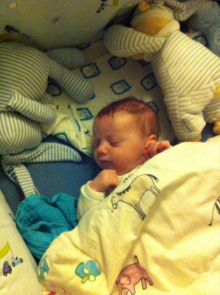Dreng Liam Tonny Hansen billede 4