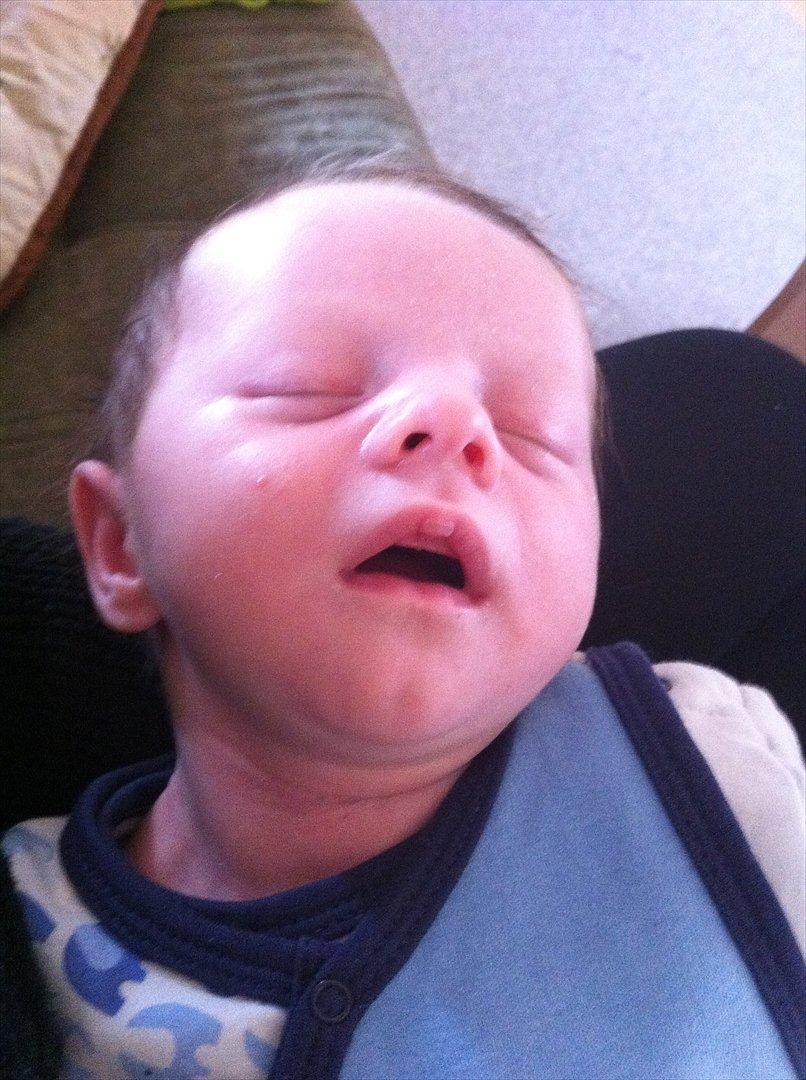 Dreng Liam Tonny Hansen billede 7