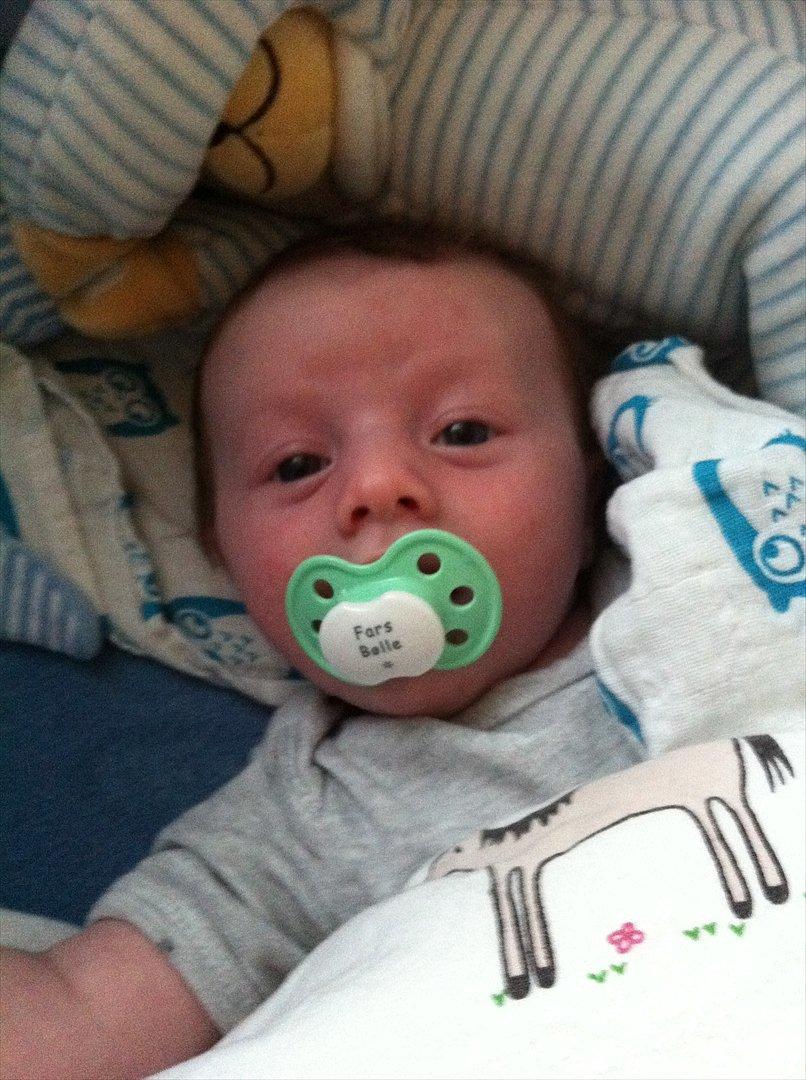 Dreng Liam Tonny Hansen billede 10