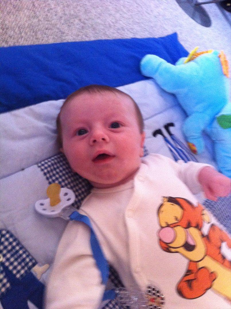 Dreng Liam Tonny Hansen billede 12