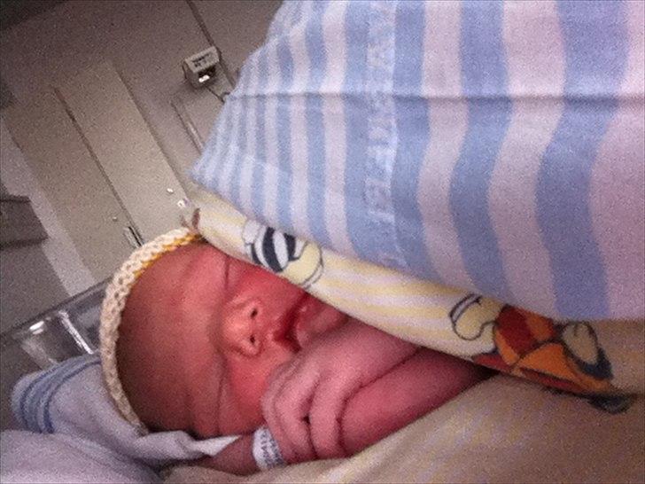 Pige Gregersen - 30 min gammel  billede 1