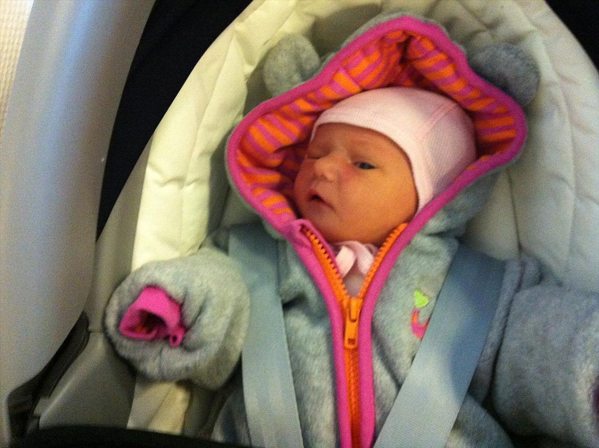 Pige Gregersen - 4 dage gammel og på vej hjem :D billede 2