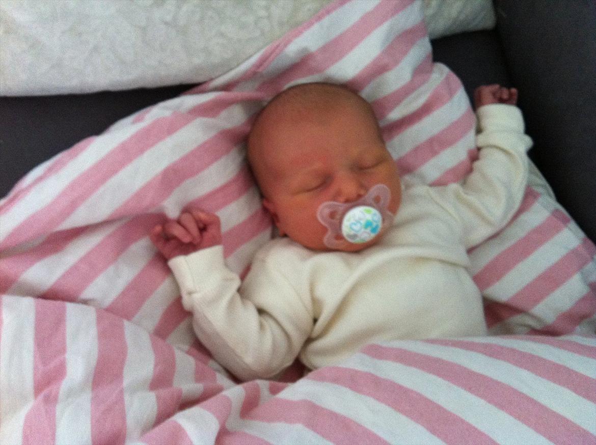 Pige Gregersen billede 3