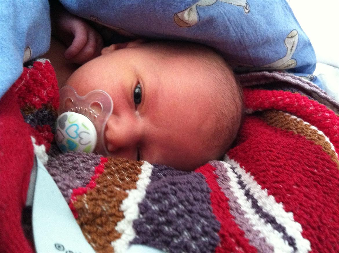 Pige Gregersen - Efter mit første bad billede 4