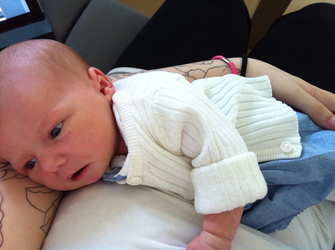 Pige Gregersen billede 6