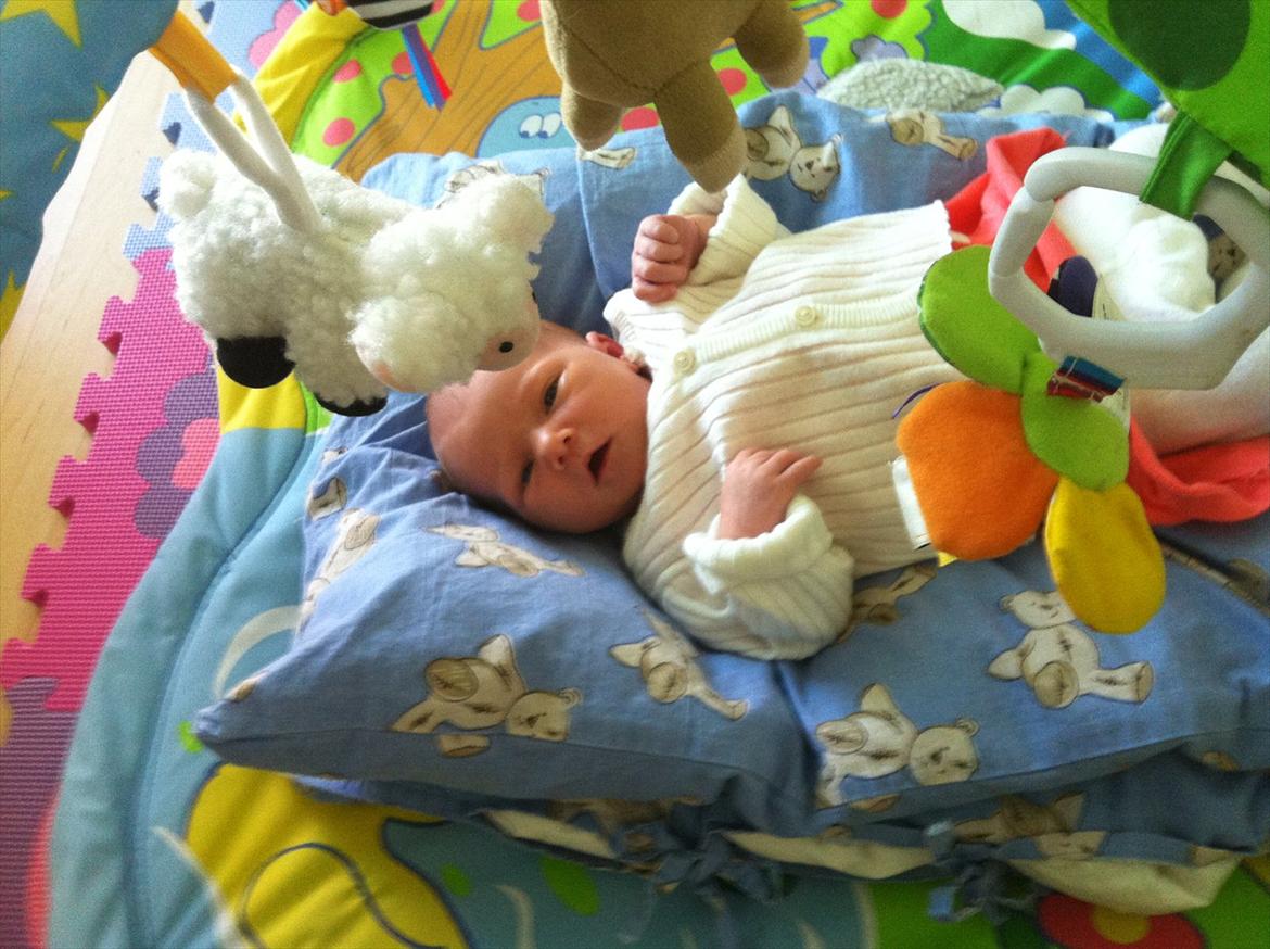 Pige Gregersen - ligger på mit lege tæppe og kigger.. billede 8