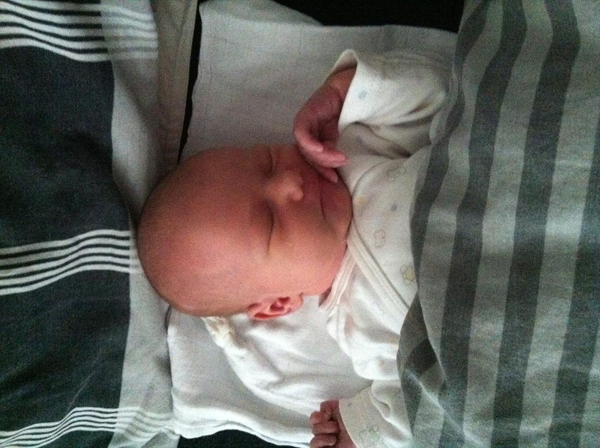 Pige Gregersen - har stjålet min fars dyne så nu putter jeg under den :D billede 9