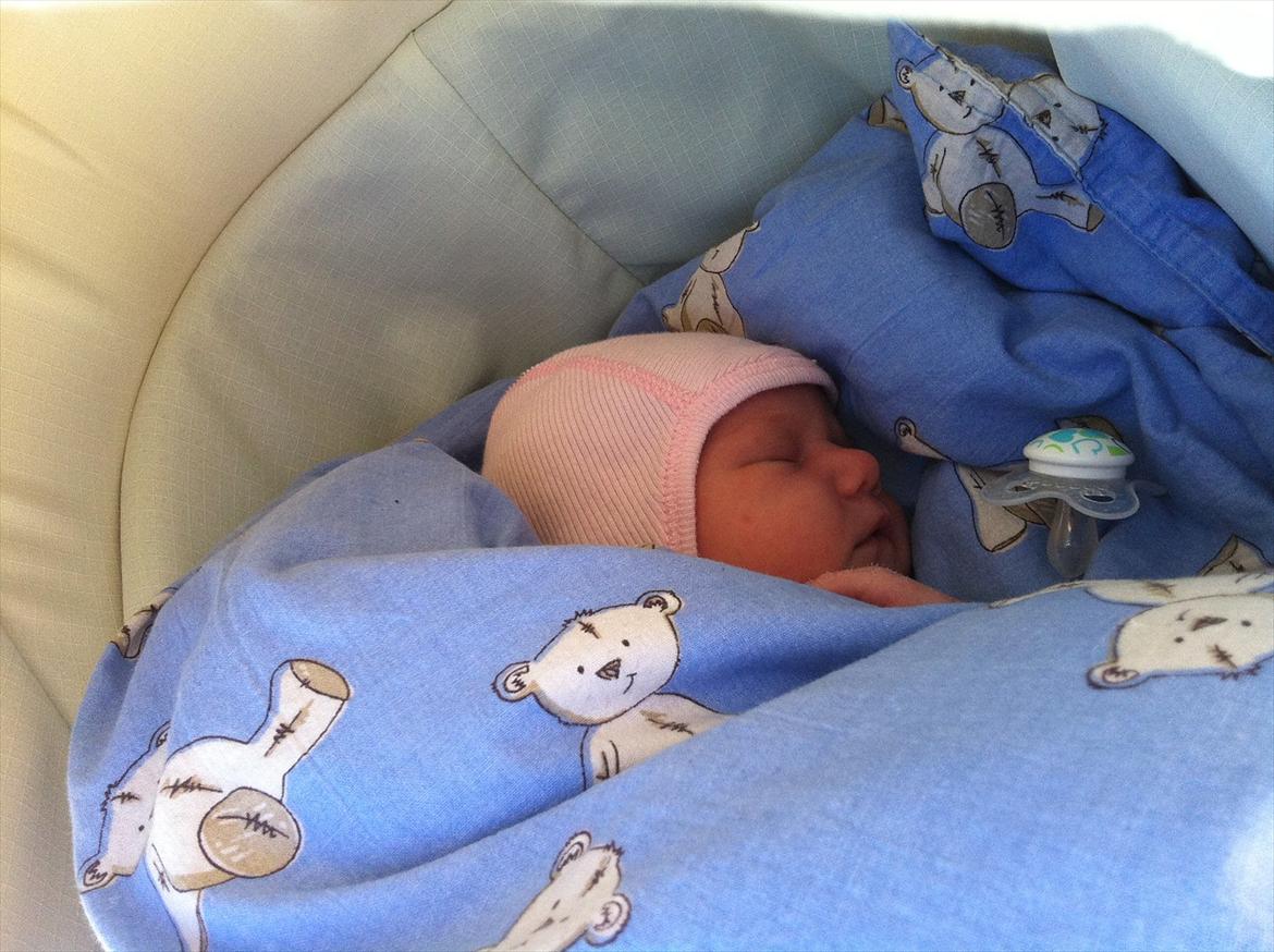 Pige Gregersen - Min første lur i barnevognen
 billede 10