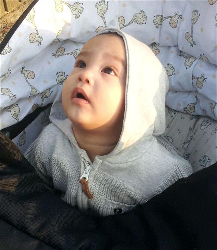 Dreng Jamie billede 18