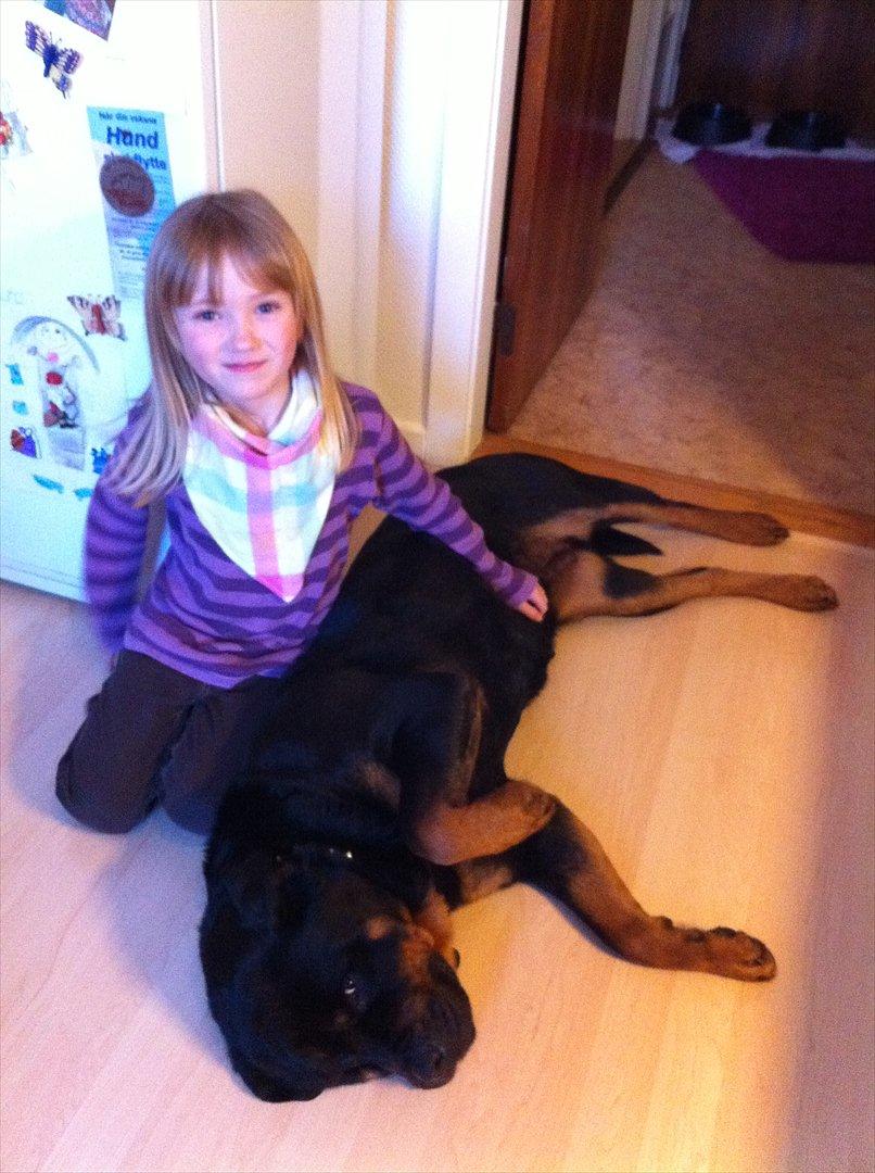 Pige Julie - Vores nye hund billede 18