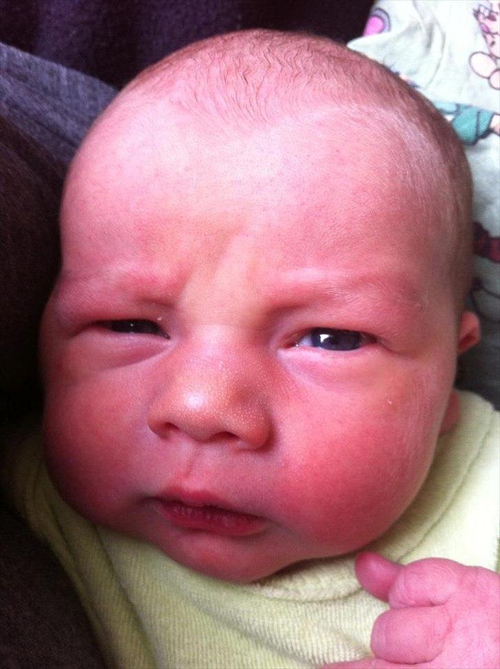 Dreng Silas billede 6