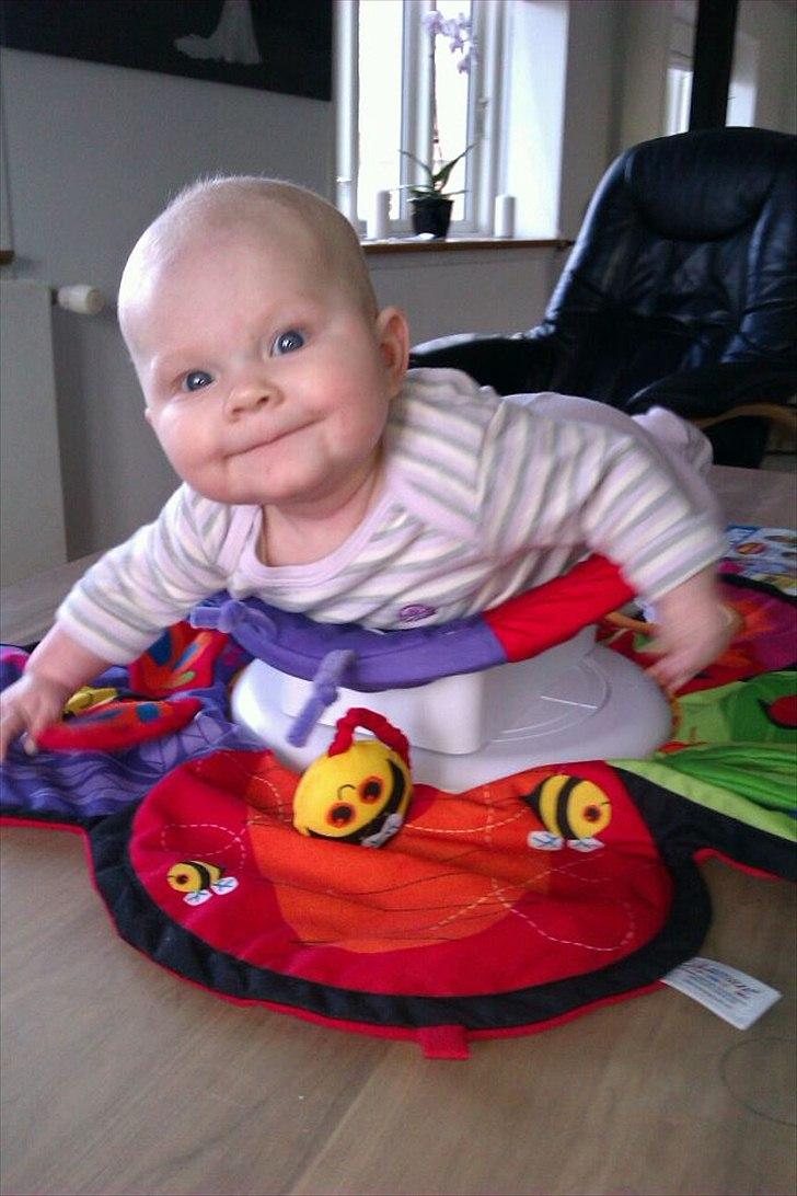 Pige Cady billede 10