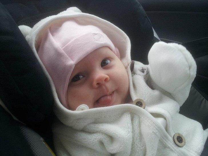 Pige Cady billede 11