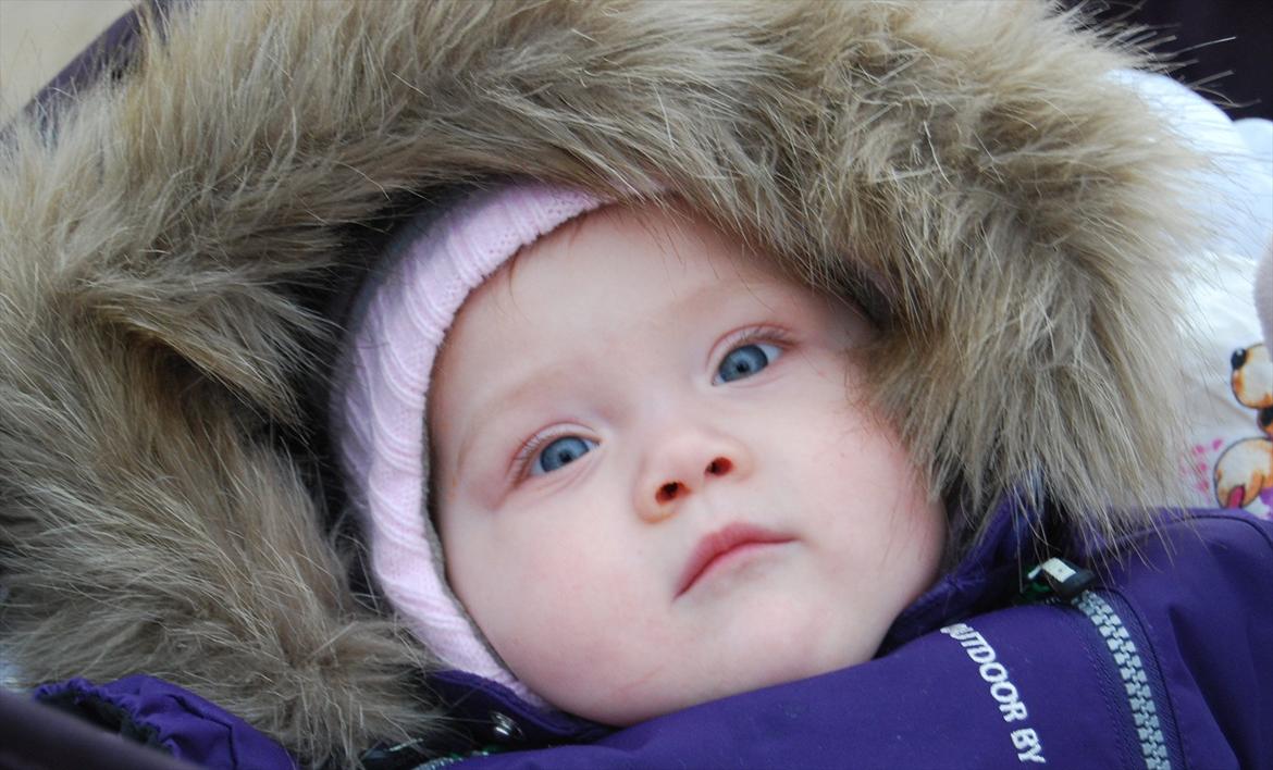 Pige Gabrielle - 10 måneder og 2 dage gammel. Selv om det er blevet vinter, går vi stadig fælleden tynd med hund og barnevogn. Halleluja for den dejlige varme og tykke flyverdragt Momme har foræret dig i adventsgave billede 12