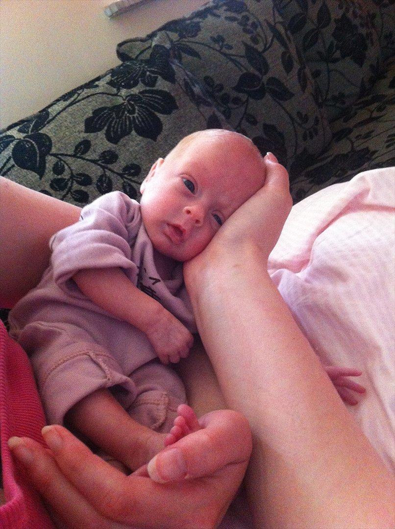 Pige Sophia Charlotte Aasted Wilson billede 1