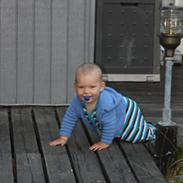 Dreng thor