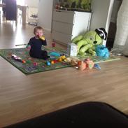 Dreng Patrick