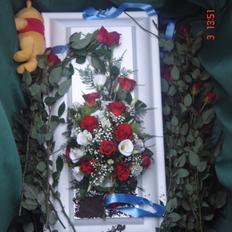 Dreng Englebarn Victor