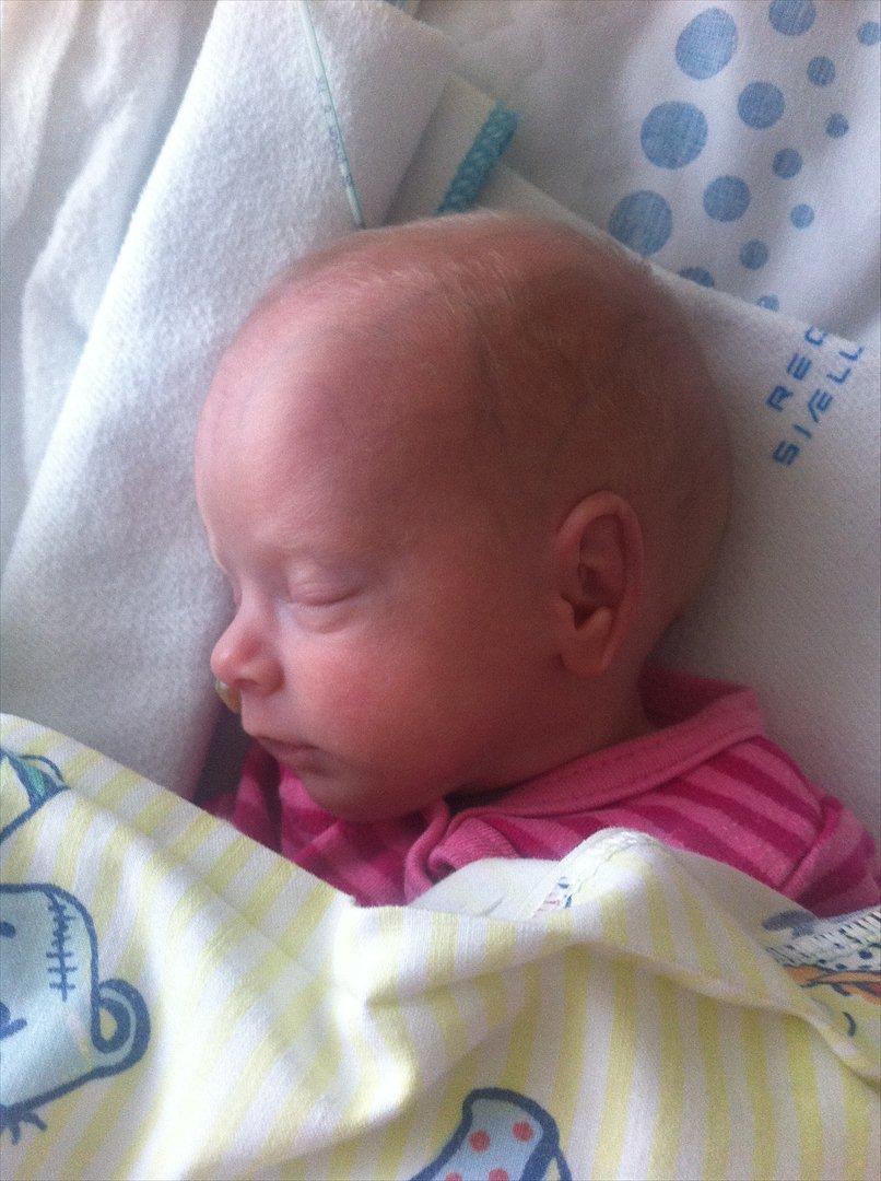 Pige Sophia Charlotte Aasted Wilson billede 6